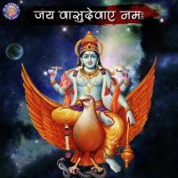 Jai Vasudevaya Namah songs mp3