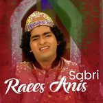 Raees Anis Sabri, Vol. 3226 songs mp3