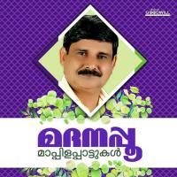 Malayala Mannilennum I.P. Siddique Song Download Mp3