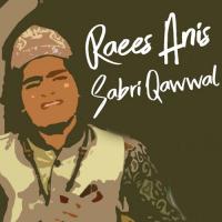 Peeron Kay Peer Hain Raees Anis Sabri Qawaal Song Download Mp3