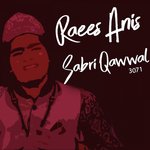 Raees Anis Sabri Qawwal E, Vol. 3071 songs mp3
