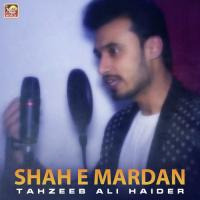 Shah E Mardan Tahzeeb Ali Haider Song Download Mp3
