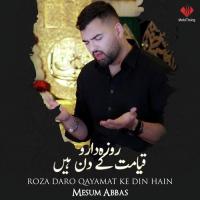 Roza Daro Qayamat Ke Din Hain Mesum Abbas Song Download Mp3