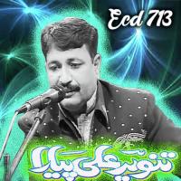 Tanveer Ali Pyaara Ecd, Vol. 713 songs mp3