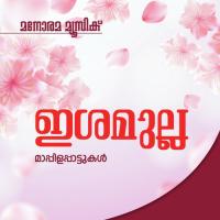 Manasil Manthahasamai Cochin Shameer Song Download Mp3