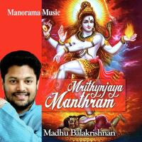 Mrithyunjaya Manthram Madhu Balakrishnan Song Download Mp3