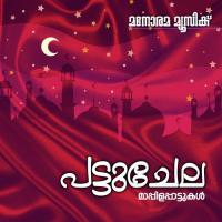 Pattuchela Madanam Kannur Shareef,Rehna Song Download Mp3