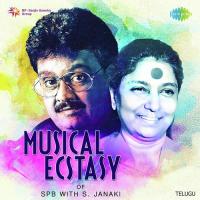 Yedhalo Tholivalape (From "Erra Gulaabilu") S. P. Balasubrahmanyam,S. Janaki Song Download Mp3