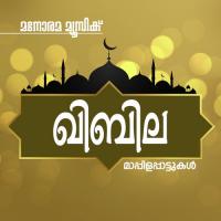 Thullalum Kilipattum Sibilla Sibil Song Download Mp3