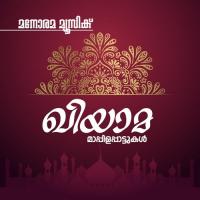 Ariyathe Orupadu Fathima Babu Song Download Mp3