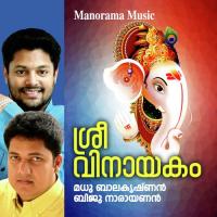 Sree Vinayakam songs mp3