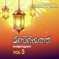 Ponne Navartna Kannur Shareef Song Download Mp3