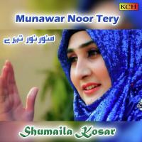 Amad Sarkar Di Hoi Shumaila Kosar Song Download Mp3