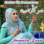 Nabi De Dar Di Mai Ban Kay Malan Shumaila Kosar Song Download Mp3