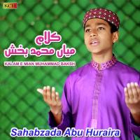 Bhar Do Jholi Meri Ya Muhammad Sahabzada Abu Huraira Song Download Mp3
