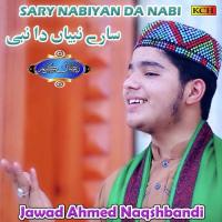 Sary Nabiyan Da Nabi songs mp3