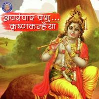 Shri Krishna Govinda Hare Murare Ketaki Bhave-Joshi Song Download Mp3