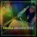Zan Ta Tawez Dilruba Song Download Mp3