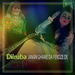 Janan Ghame Da Feroze De songs mp3