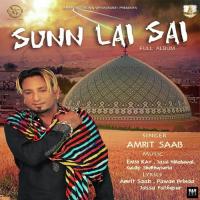 Teri Diwani Amrit Saab Song Download Mp3