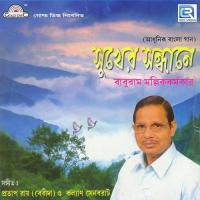 Sukher Pakhi Buker Majhe Baburam Mallikkramakar Song Download Mp3
