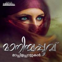 Chemparathi Poove Aneesh Song Download Mp3
