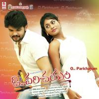 Ne Ne Peddapuram Padmavathi,Lakshmi Vinayak Song Download Mp3