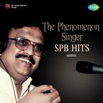 Ananda Paramananda (From "Sri Manjunatha") S. P. Balasubrahmanyam,K. S. Chithra Song Download Mp3