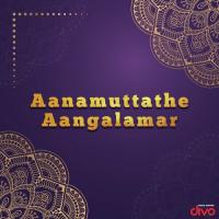 Aanamuttathe Aangalamar songs mp3