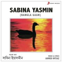 Aei Tumi Shei Tumi Sabina Yasmin Song Download Mp3
