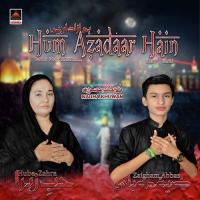 Hum Azadaar Hain songs mp3