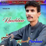 Asittinga Nega Na Saleem Shahzad Song Download Mp3