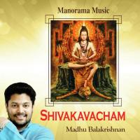 Bhramamukhamara Madhu Balakrishnan Song Download Mp3