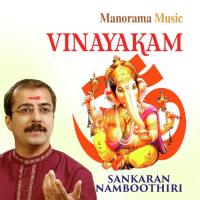 Namastevavrindam (Vinayakashtakam) M.K. Sankaran Namboothiri Song Download Mp3