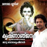 Krishnanjanam songs mp3
