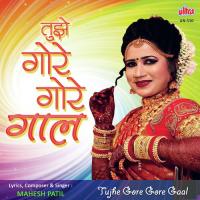 Tujhe Gore Gore Gaal Raveena Mahesh Patil Song Download Mp3
