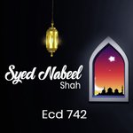 Rehmatoon Wale Nabi Ke Geet Syed Nabeel Shah Song Download Mp3