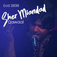 Sher Miandad Qawaal, Vol. 2838 songs mp3