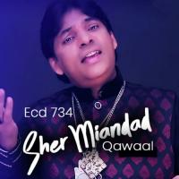 Mola Hassan Mery Mola Hassan Sher Miandad Qawaal Song Download Mp3