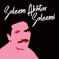 Salim Akhtar Salimi songs mp3