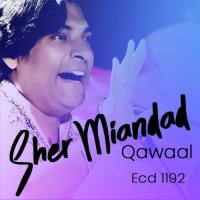 Sher Miandad Qawaal, Vol. 1192 songs mp3