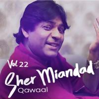 Sher Miandad Khan Qawwal, Vol. 22 songs mp3