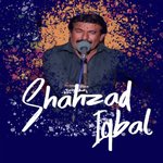 Lainda Jo Nai Aida Shahzad Iqbal Song Download Mp3