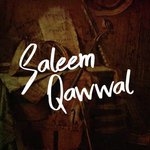 Saleem Qawaal, Vol. 290 songs mp3