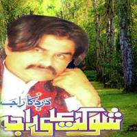 Veeraan Zindagi Shoukat Ali Raja Song Download Mp3