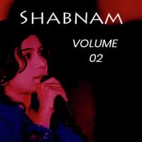 Tere Bin Nai Lagda Hai Shabnam Majio Song Download Mp3