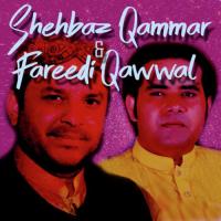 Noori Mukhra Te Zulfan Kaliyan Shehbaz Qamar Fareedi Song Download Mp3