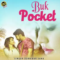 Buk Pocket Durnibar Saha Song Download Mp3