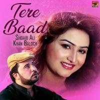 Tere Baad Shoaib Ali Khan Baloch Song Download Mp3