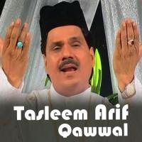 Tasleem Arif Qawwal, Vol. 672 songs mp3